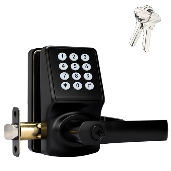 Entry Door Lock, Electronic Keypaddoor Lock Withhandle, Digital Door Lockwithkeypads, ICCard andKey, Easy Installationfor Home, Hotel(Matte Black)