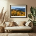 thumbnail image 3 of McClure Pass V - Telluride Colorado Photography Autumn Nature Mountain Landscape Forest Scenic Wilderness Black Framed Wall Art Print 20 x 30 inches, 3 of 4