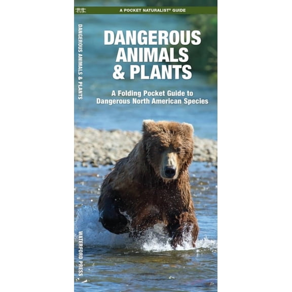 Pocket Naturalist Guides: Dangerous Animals & Plants: A Folding Pocket Guide to Dangerous North American Species (Paperback)