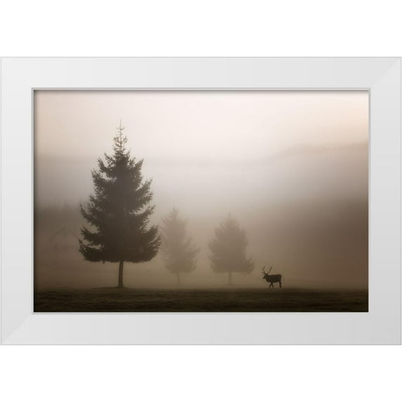 Bruna, Marco 18x13 White Modern Wood Framed Museum Art Print Titled - Looking for Love