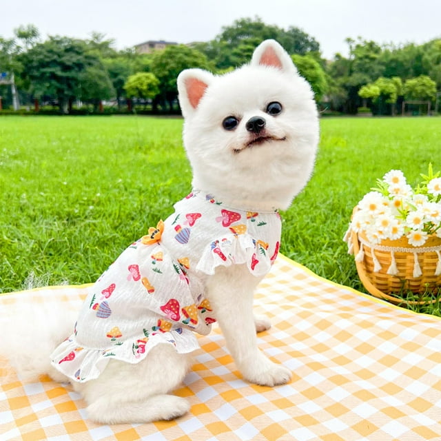 Mom's Best Vestido de princesa para perros y gatos pequeños, vestidos florales de verano, 11.8 x 7.8 pulgadas, ropa para mascotas para primavera, verano y otoño.
