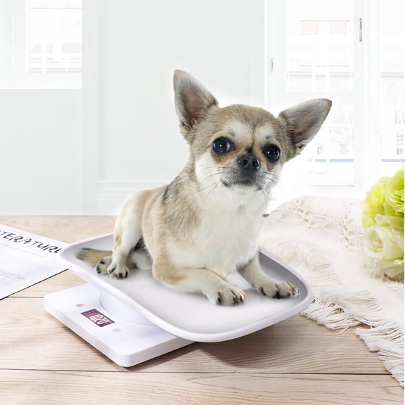 OUNONA 1Pc Small Pet Scale White Lightweight Digital Weighbridge with Clear Numbers for Dogs Cats Parrots