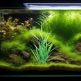 thumbnail image 4 of KALLORY 2Ud Accesorios Para Terrarios Y Acuarios Artificiales Para, 4 of 7