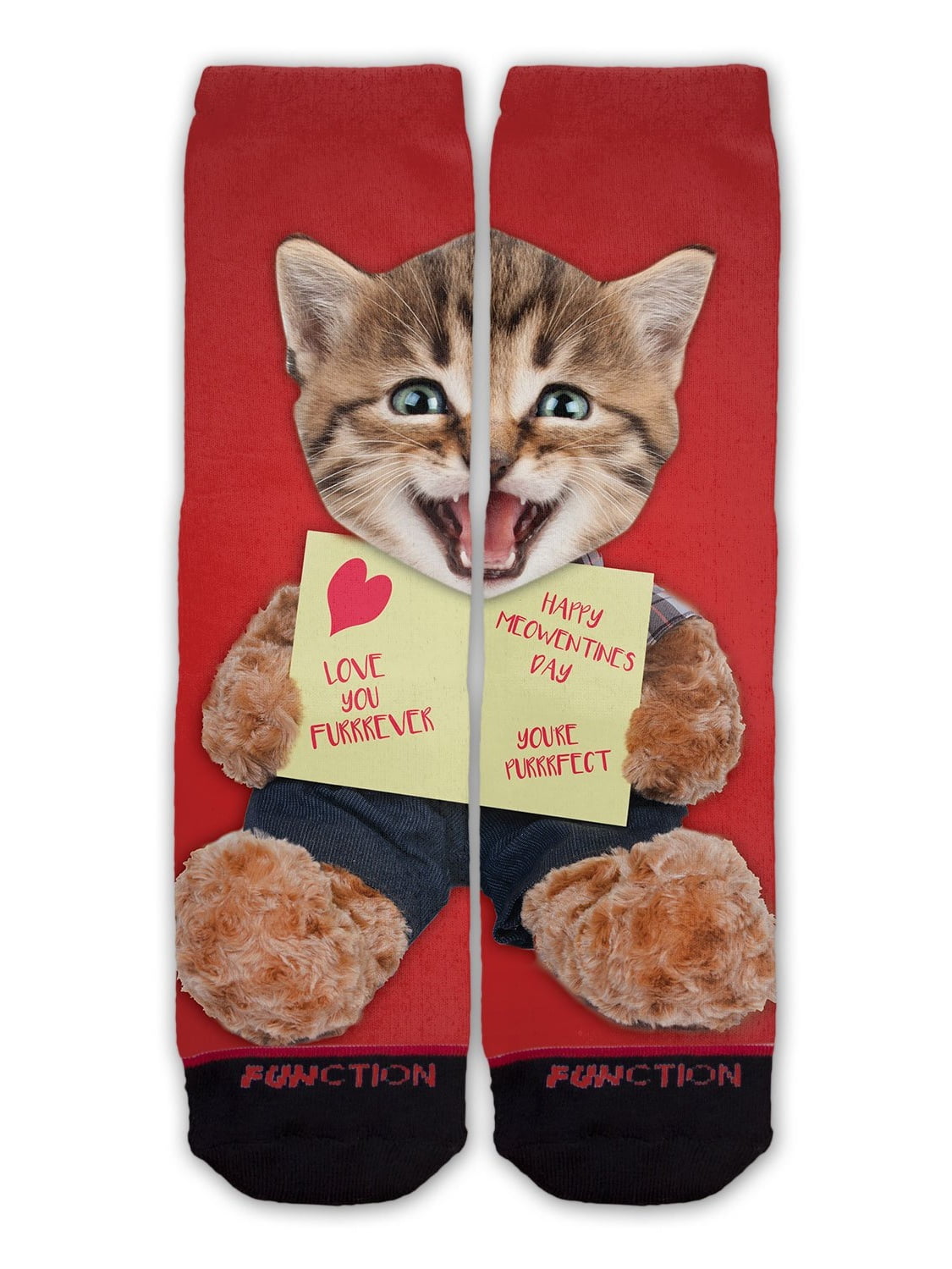 cat teddy