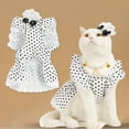 thumbnail image 5 of Flying Sleeve Pet Dress Ruffles Printed, French Style Lace with Hair Pin, Dot Print Pet Skirt - Pet Supplies, 5 of 8