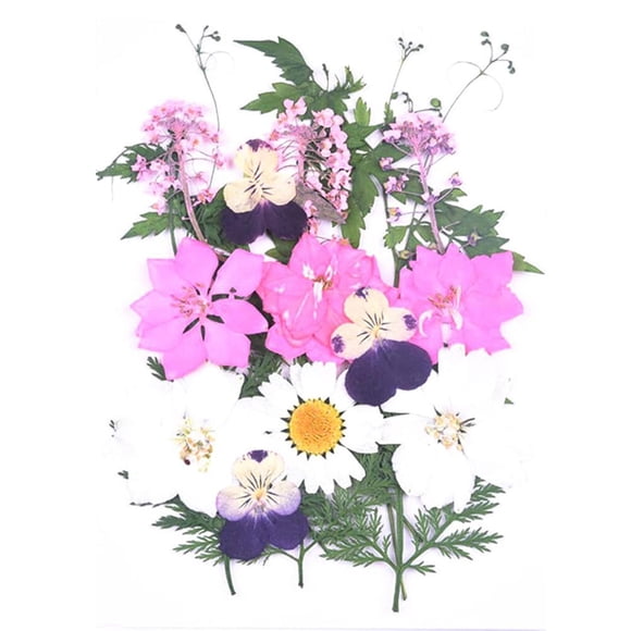 Marcadores de flores secas transparentes Hermosos marcadores de flores hechos en casa Marcadores de flores secas DIY Clips de página de flores Marcadores