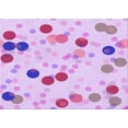 thumbnail image 1 of Ahgly Company Machine Washable Indoor Rectangle Transitional Orchid Purple Area Rugs, 8' x 10', 1 of 7