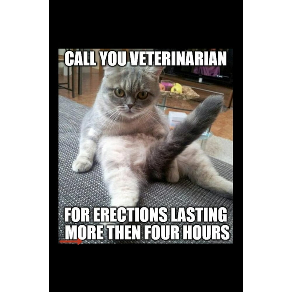 Call You Veterinarian For Erections Lasting More Than Four Hours