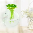 thumbnail image 3 of Hanging Glass Flower Planter Vase Terrarium Container Home Garden Ball Decor, 3 of 5