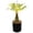 A, variant on Artificial Plant LED Night Light With Pot USB, Faux Greenery Potted Plant Lamp, Warm White Lighted Monstera Palm Tree For Home Office Desk Bedroom Decor