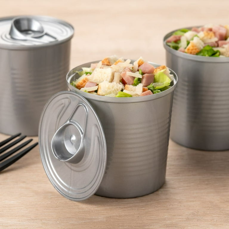 2 oz Rectangle Silver Plastic Tin Can - with Lid - 4 x 2 x 1 - 100 count  box
