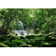 Reptile Habitat, Terrarium Background,Sunny Green Trees With Waterfall & Mossy Rock (Various Sizes) (25" H X 84" W)