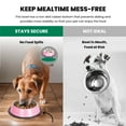thumbnail image 4 of Iconic Pet Color Splash Stripe Non-Skid Pet Bowl, 24 Oz, Pink, 4 of 8