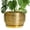 Golden, variant on Ordivic 6 inch Golden Textured Ceramic Plant Pot with Drainage Hole & Saucer, Modern Small Planter for Snake Plants & Home Decor
