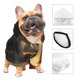 thumbnail image 3 of Fotbe Cool Sunglasses Elephant Art Sudadera con Estampado para Perros Pequeños – Suéter con Capucha para Mascotas, Tela Suave de Forro Polar con Bolsillo-XX-Large, 3 of 7
