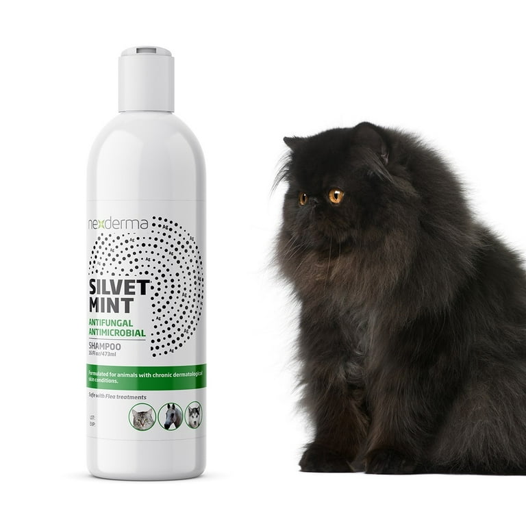 Nexderma Silvet Mint Antibacterial Antifungal Hot Spot Itch