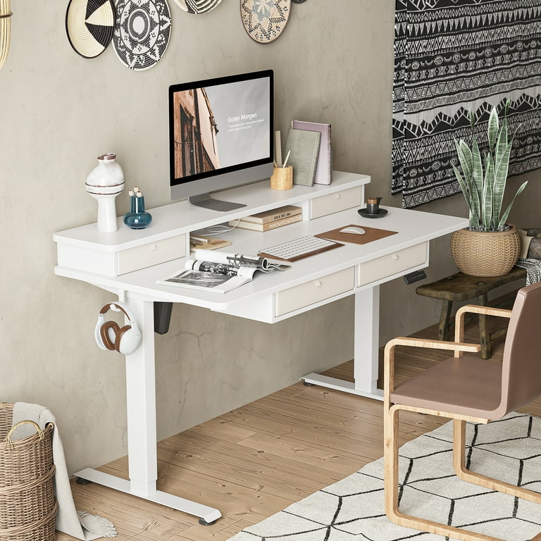 DESINO 48 x 24 Inch Height Adjustable Electric Standing Desk with