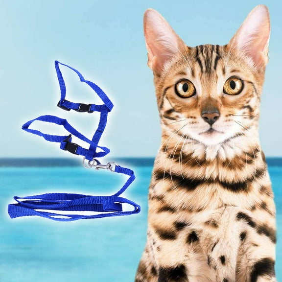 SOPOTUTU harness and leash for cats Cat Harness Nylon 1Pack Pet