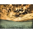 thumbnail image 2 of Eggers, Terry 32x25 White Modern Wood Framed Museum Art Print Titled - USA-Washington State-Palouse-wheat field and clouds, 2 of 4