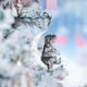 thumbnail image 3 of Teissuly Christmas Iron Art Sit on The Lovely Dog Ornament for Dog Lovers Christmas Tree Pendent Decor(5Pcs) Teissuly WER202310233468, 3 of 4