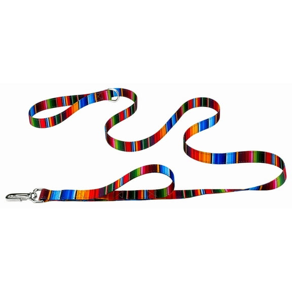 Country Brook Petz® 5/8 inch Deluxe Serape Reflective Dog Leash, 6 Foot