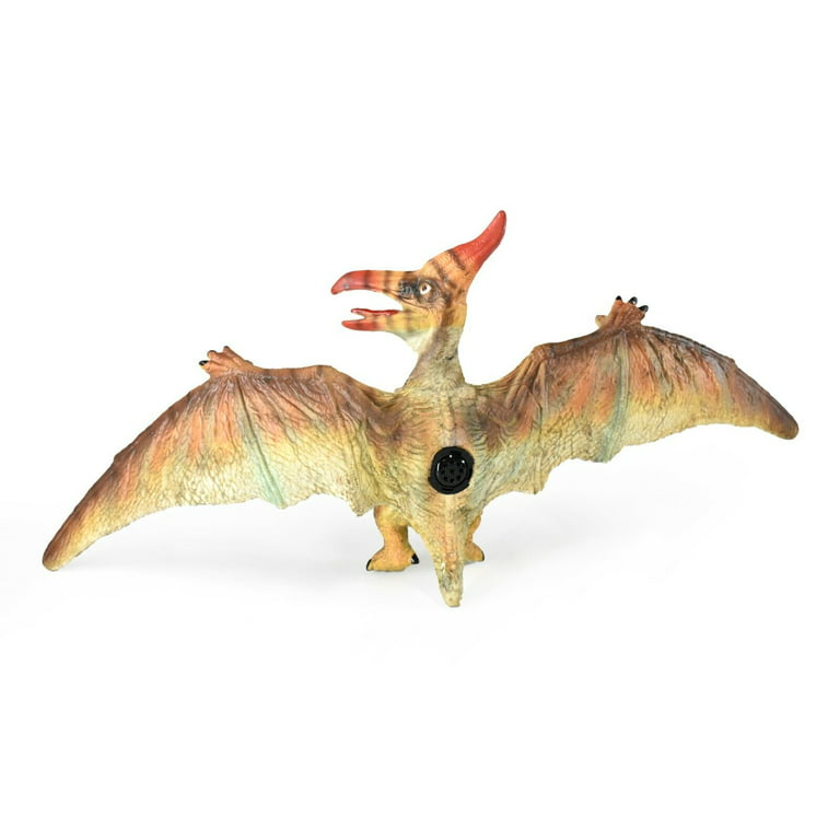  EOIVSH 3-Pack Realistic Flying Dinosaur Figures - Pterosaur,  Pterodactyl & Pteranodon - Educational Toy, Great for Collection, Gifts &  Party Favors : Toys & Games