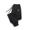 thumbnail image 2 of Pantalones deportivos con estampado para hombre, pantalones de entrenamiento informales, ropa deportiva, pantalones de gimnasio para hombre, fitness, doble capa, novedad para verano y otoño, 2 of 5