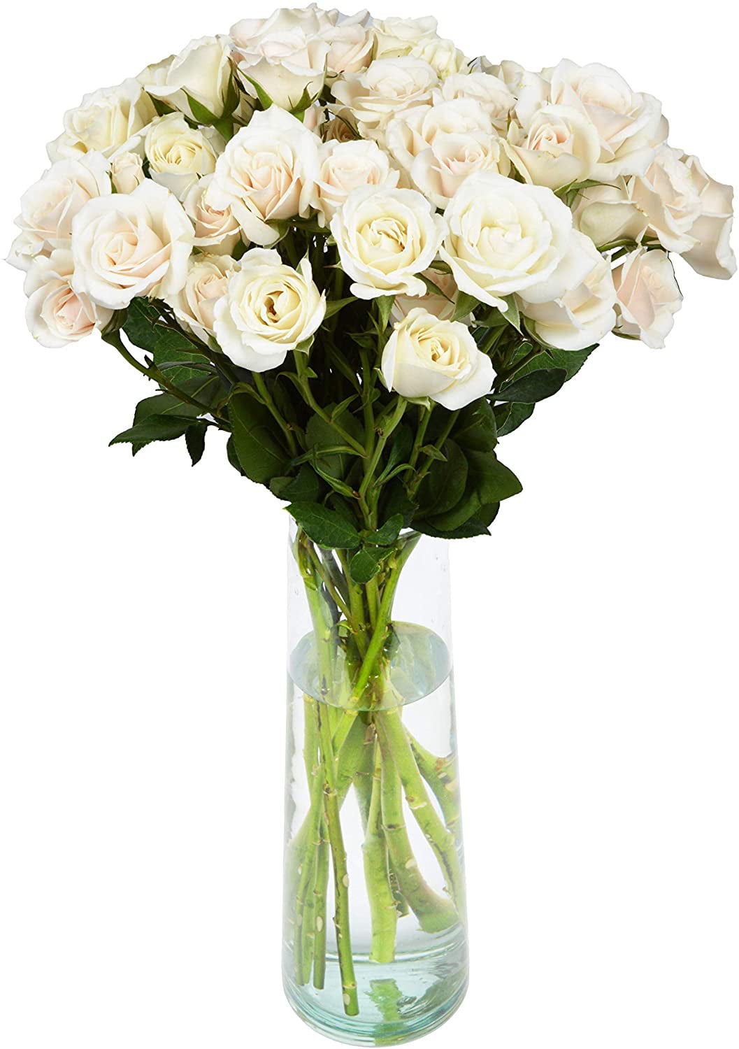 Arabella Farm Direct Bouquet of Fresh Cut White Spray Roses with an 12 ...