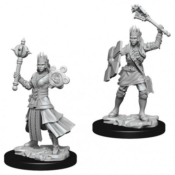 Dungeons & Dragons Nolzur`s Marvelous Unpainted Miniatures: W08 Female Human Cleric