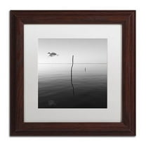 Trademark Fine Art "Fly" Canvas Art by Moises Levy White Matte, Wood Frame