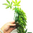 thumbnail image 7 of Yirtree Artificial Reptile Plants Lifelike Reptiles Terrarium Leaves Chameleon Cage Accessories Plant Amphibian Hanging Terrarium Fake Decor Plants for Reptiles Lizards Geckos Snake, 7 of 7