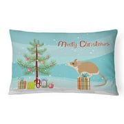 Carolines Treasures CK4465PW1216 Spiny Mouse Merry Christmas Canvas Fabric Decorative Pillow, 12H x16W, multicolor