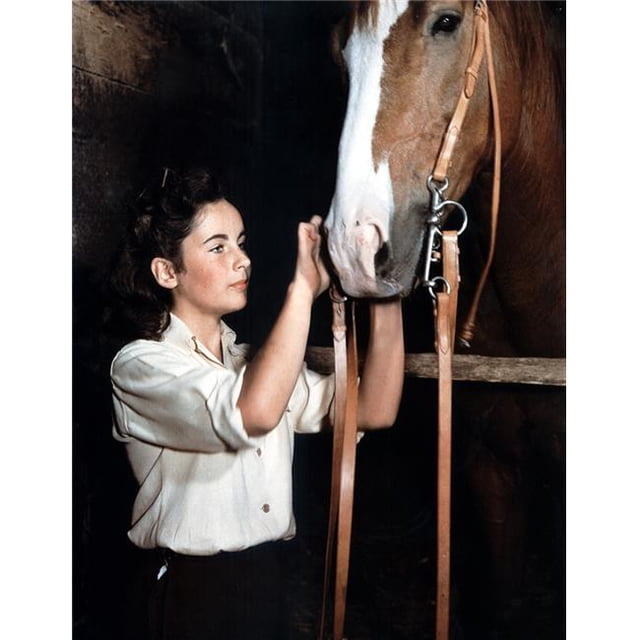 Everett Collection EVCPCDELTAEC012HLARGE National Velvet Elizabeth Taylor 1944 Photo Print, 16 x 20 - Large