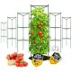 thumbnail image 1 of Jaula para tomates K-Brands, paquete de 6, soporte para plantas de 122 cm de alto, 1 of 9