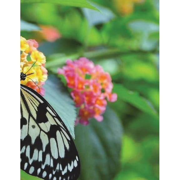 White Tree Nymph Notebook Large Size 8.5 x 11 Ruled 150 Pages Softcover (Paperback)