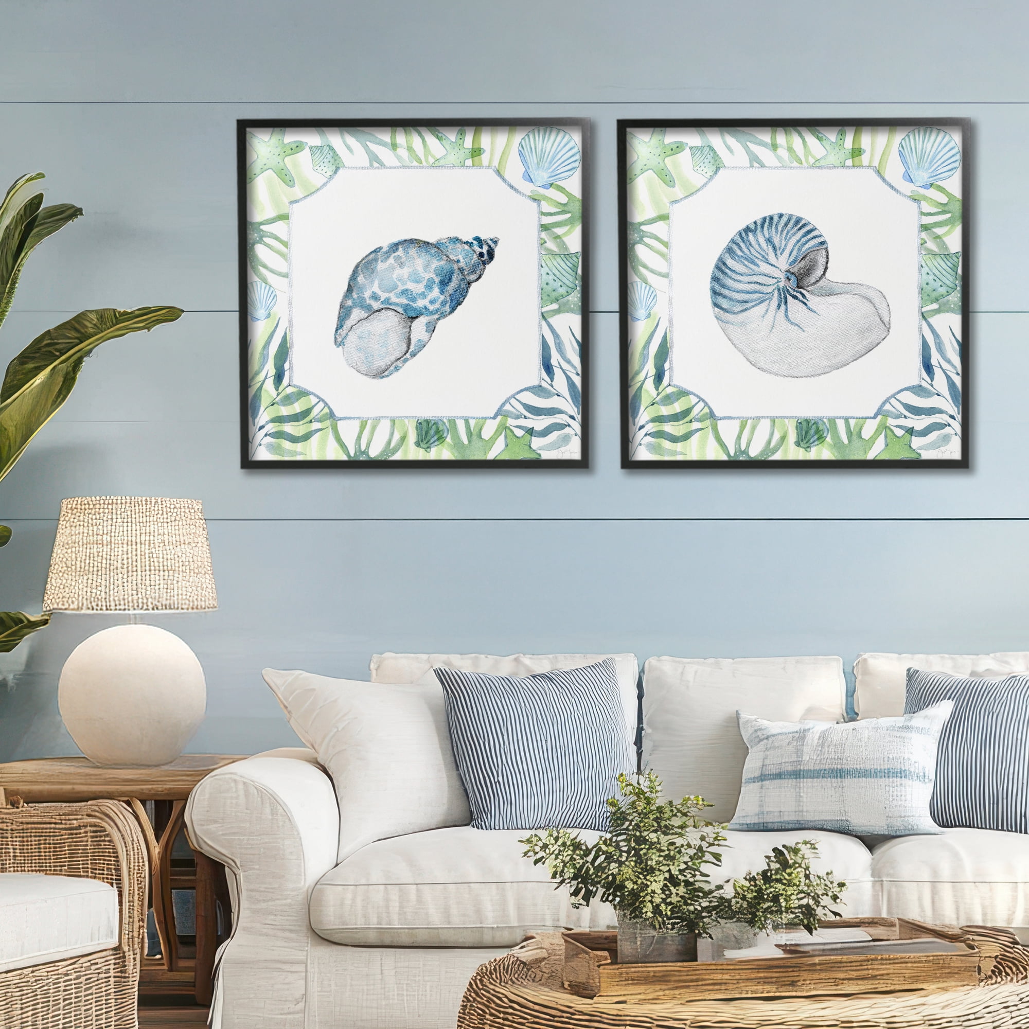 Stupell Industries Seaweed Bordered Seashells 2 Piece Black Framed Giclee Art Set, design by Janet Tava