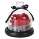 thumbnail image 1 of Amoroso corazón cubierta de vidrio simulación plástico rosa flor lámpara LED decoración luz nocturna para regalo del día de San Valentín rojo, 1 of 8