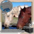 thumbnail image 2 of Water Purifier Cubes Activate Carbon High-efficiency Water Purificatiofish Farming Hands Horses Water New ws, 2 of 4