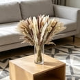 thumbnail image 5 of Dongrere Natural Dried Pampas Grass Bouquet, Neutral Toned Dried Floral, Phragmites Dried Flowers for Home, Wedding Centerpieces, Farmhouse Vases, 15" - 17", 5 of 6