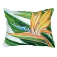 thumbnail image 3 of Betsy Drake Bird of Paradise No Cord Pillow 16x20, 3 of 3