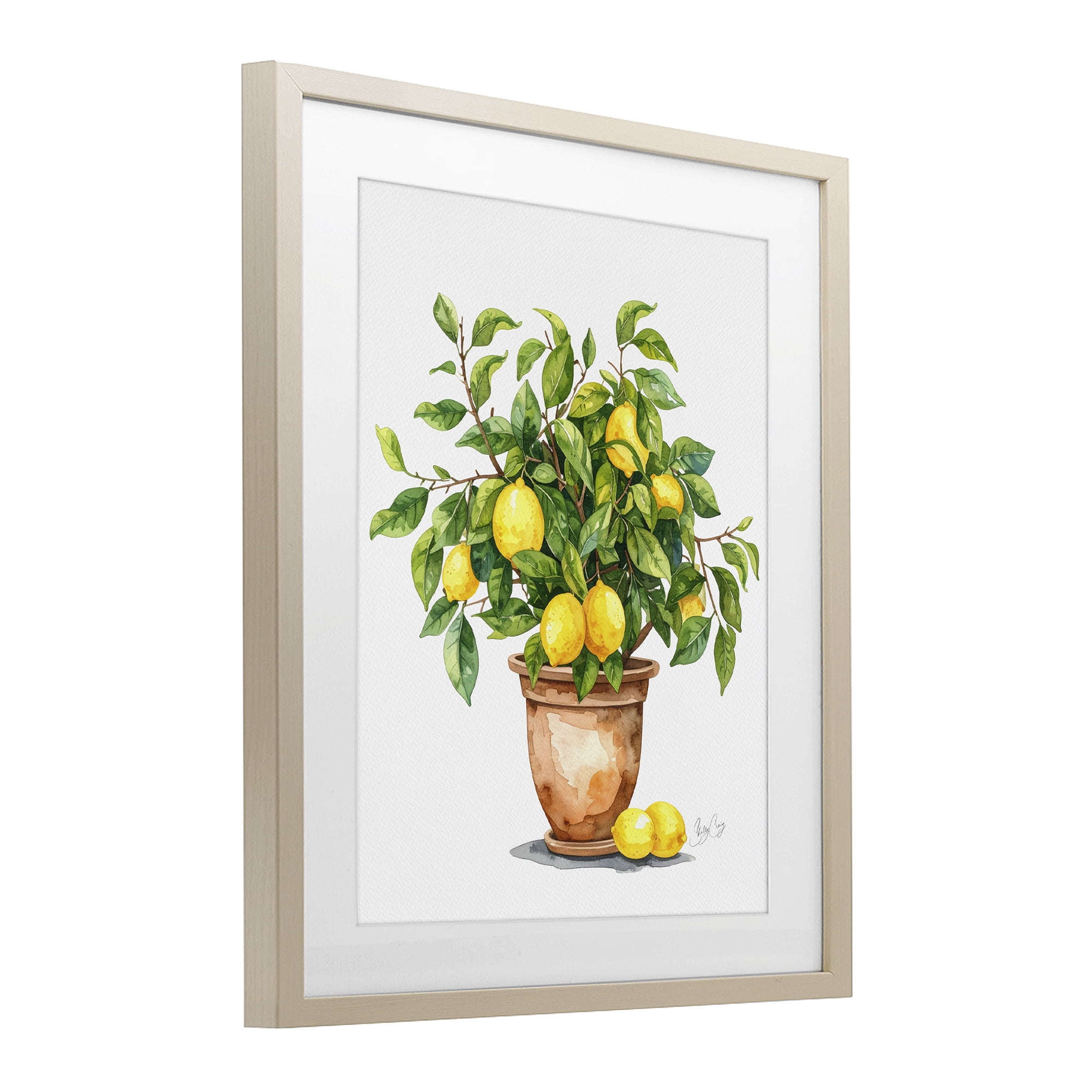 Stupell Industries Potted Lemon Tree Birch Framed Print Under Glass, design by Shelly Craig