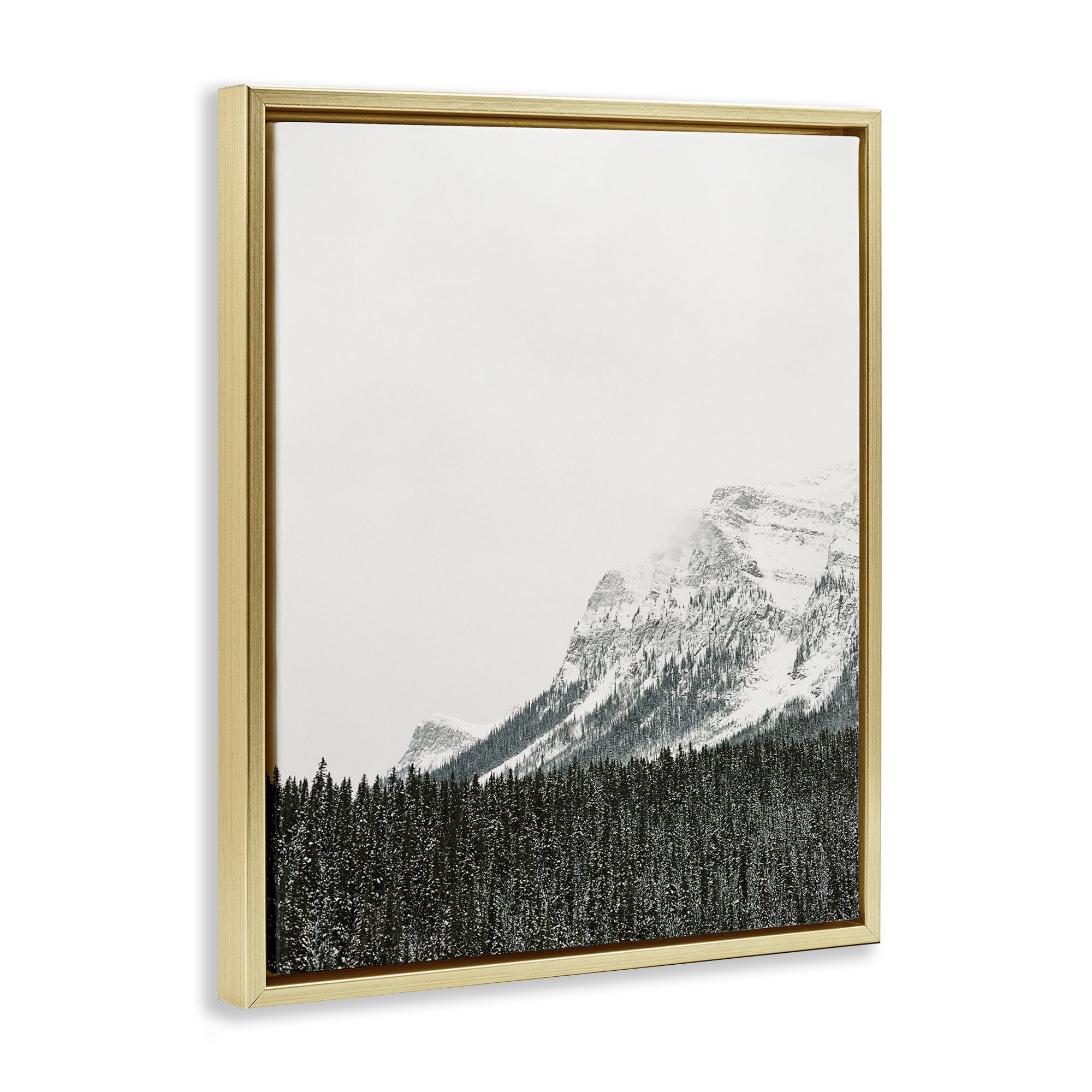 Stupell Industries Distant Snowy Peaks Landscape Photography Gold Floater Framed Art Print Wall Art, 25 x 31