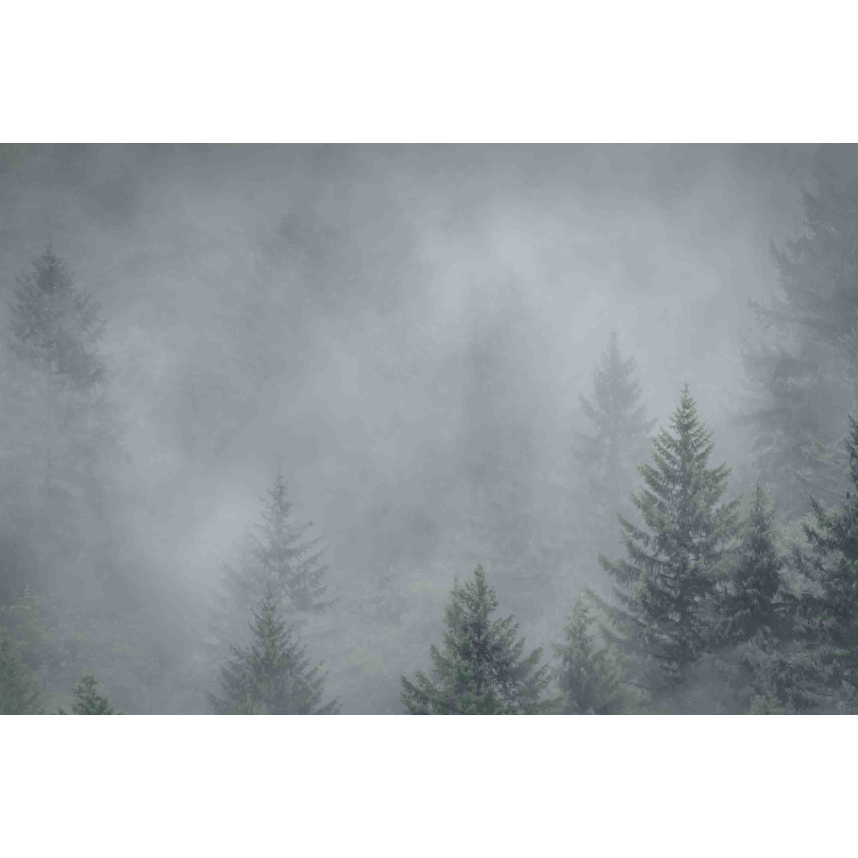 Marmont Hill 'Foggy Pines' by Don Schwartz Painting Print on Wrapped Canvas