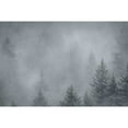 thumbnail image 2 of Marmont Hill 'Foggy Pines' by Don Schwartz Painting Print on Wrapped Canvas, 2 of 5