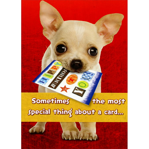 Designer Greetings Chihuahua Holding Card in Mouth Cute : Sentimental ...