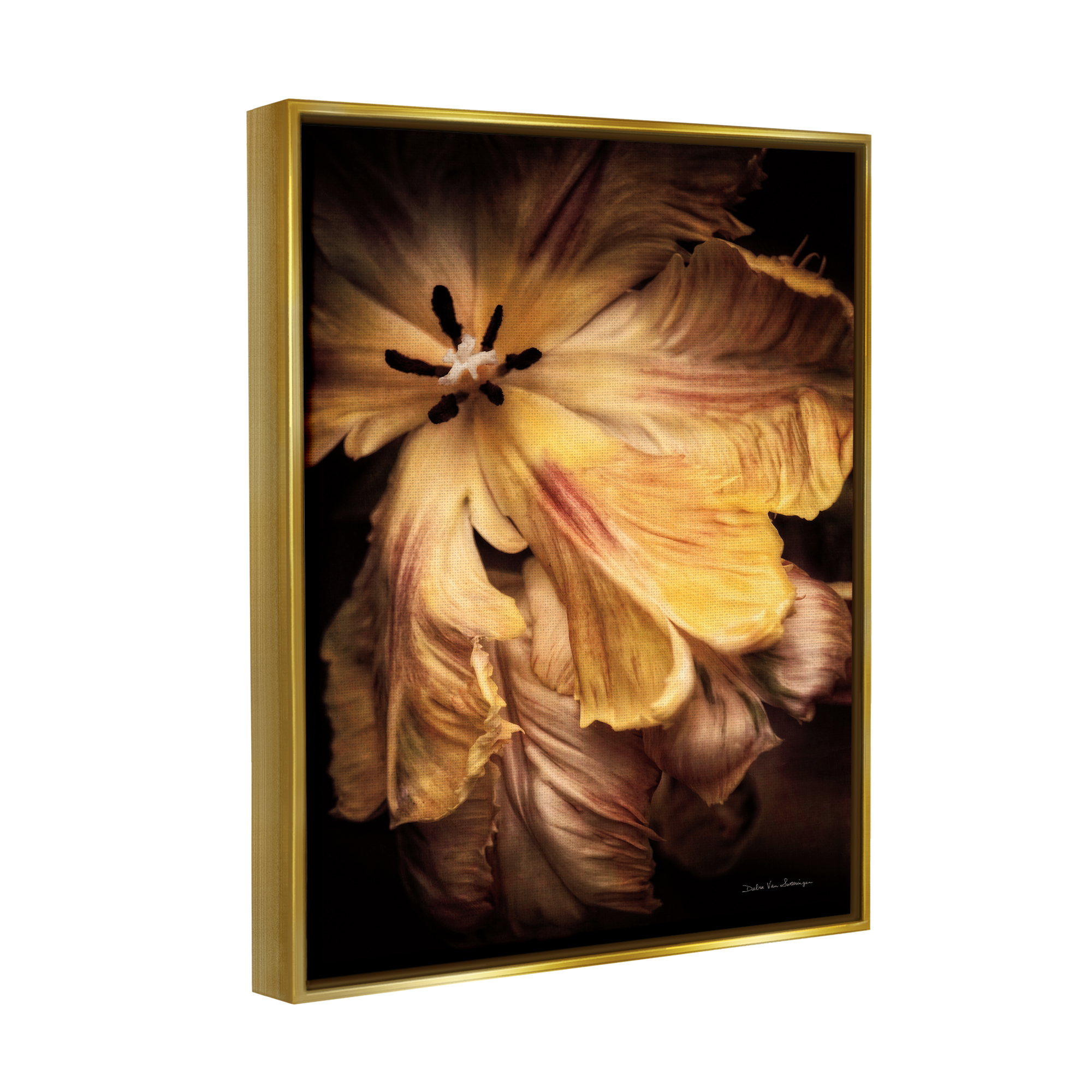 Stupell Industries Modern Hibiscus Photography Botanical & Floral Photography Gold Floater Framed Art Print Wall Art, 17 x 21