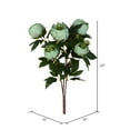 thumbnail image 2 of Vickerman 23" Contemporary Fabric Artificial Peony Spray in Green, 2 of 2