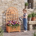 thumbnail image 2 of ELLEGNT 1 PCS Wooden Raised Garden Bed with Trellis – 48" Planter Box, Drainage Holes Brown, 2 of 9