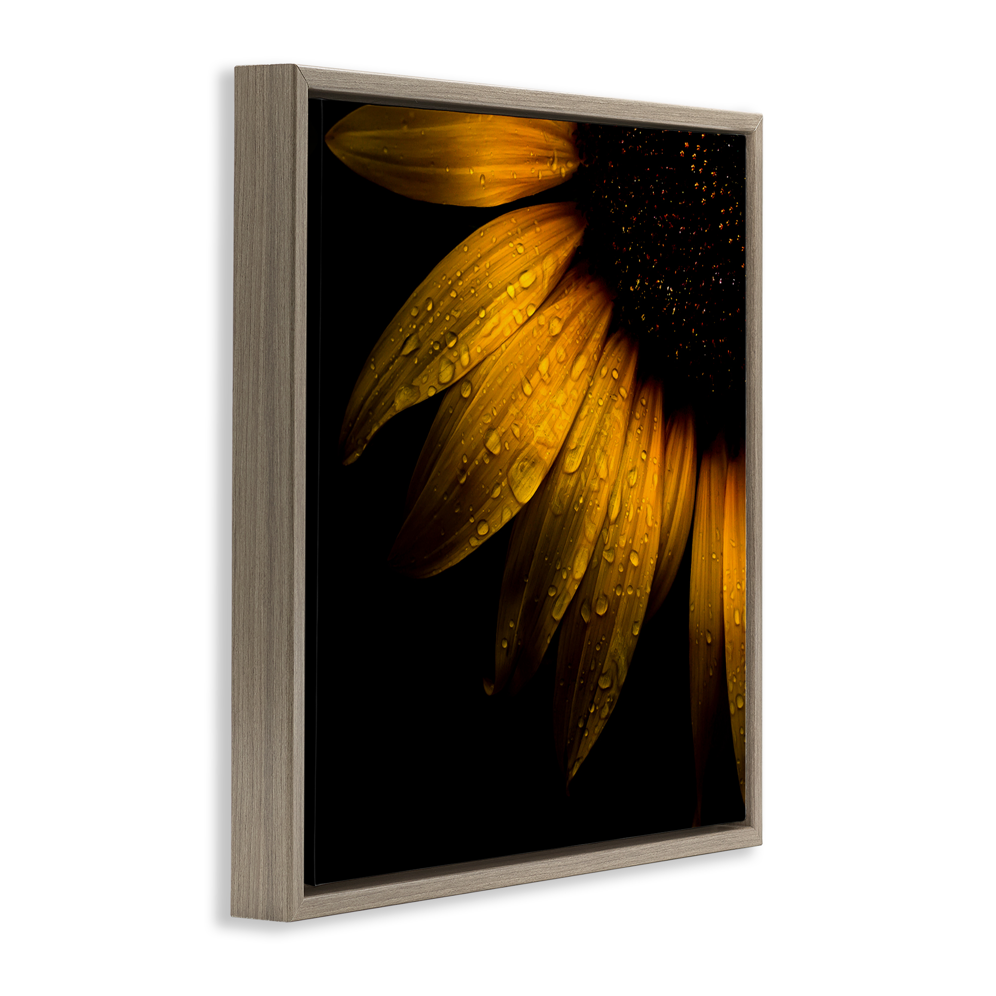 Sunflower Detail with Droplets Brown Framed Floater Canvas Wall Art, design by Brian Carson Photography