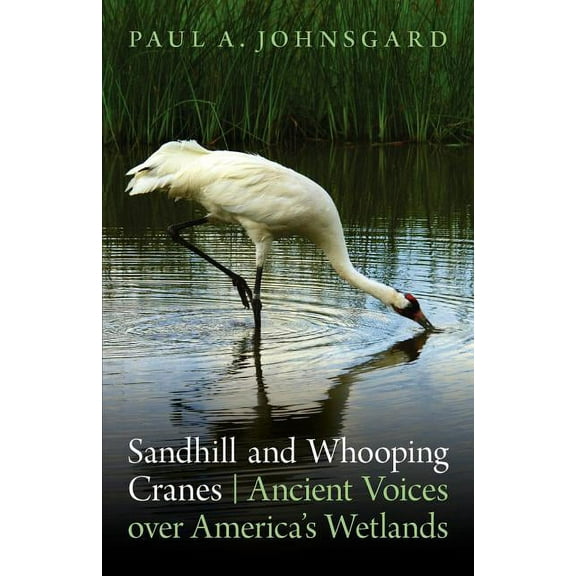 Sandhill and Whooping Cranes: Ancient Voices Over America's Wetlands, (Paperback)